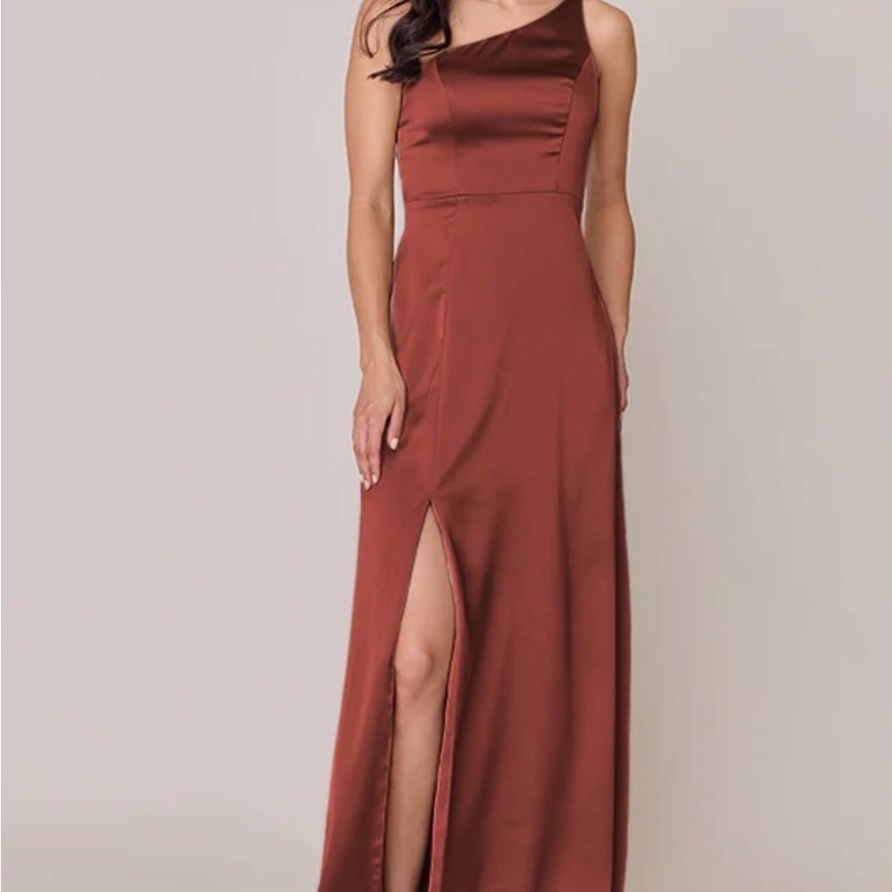 Revelry Cinnamon Rose Dress